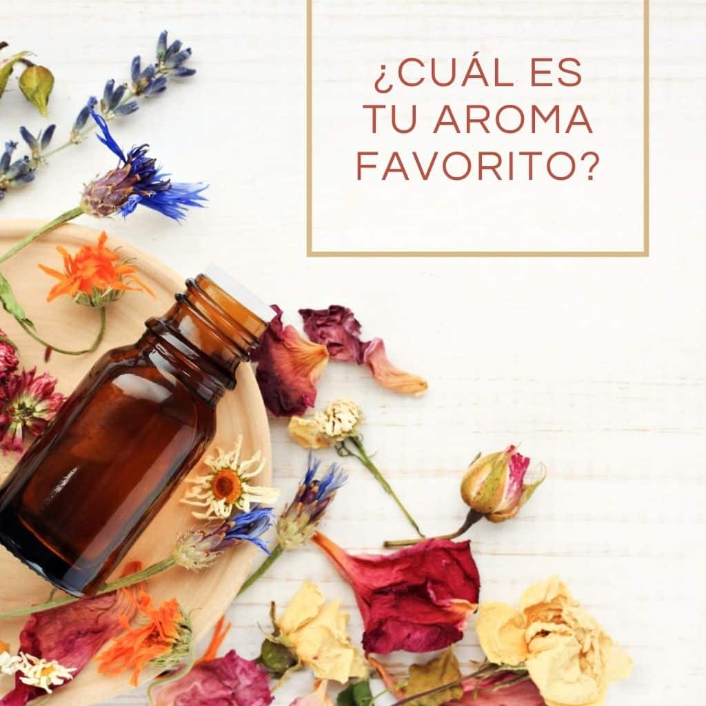 Conoce los aromas para velas aromáticas más codiciados. 10 aromas que no  puedes perderte.